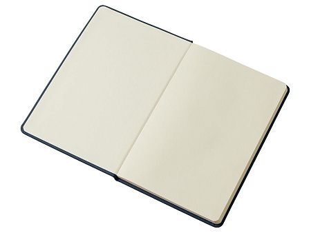 Блокнот в твердой обложке A5 «Виспи» в клетку