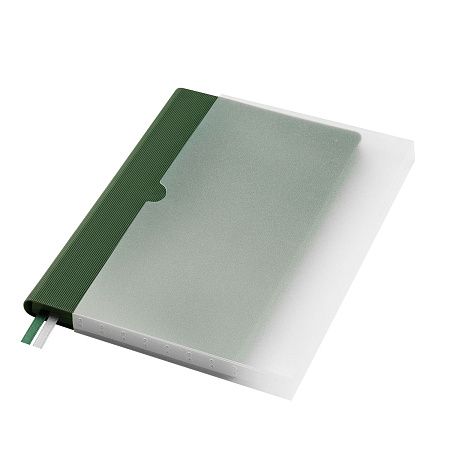 Ежедневник Рейн (Rain) недатированный, зеленый