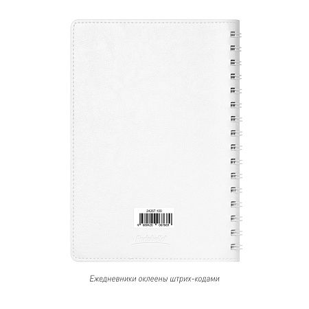 Ежедневник Vista Neo недатированный, белый