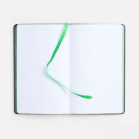 Ежедневник Nice Twice, недатированный, черный с ярко-зеленым