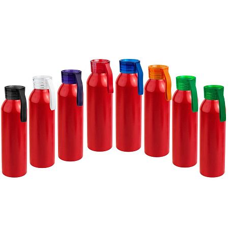 Бутылка для воды VIKING RED 650мл. Красная с фиолетовой крышкой 6144.11