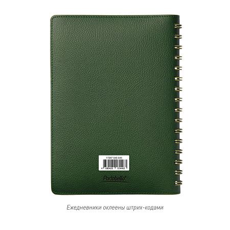 Ежедневник Vista недатированный, зеленый/салатовый