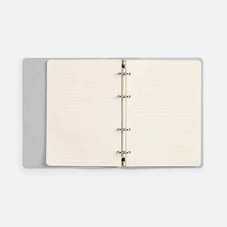 Ежедневник Ringo, недатированный, серебристый