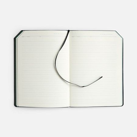 Ежедневник Espresso, недатированный, зеленый