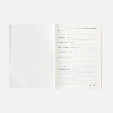 Ежедневник Repute, недатированный, красный