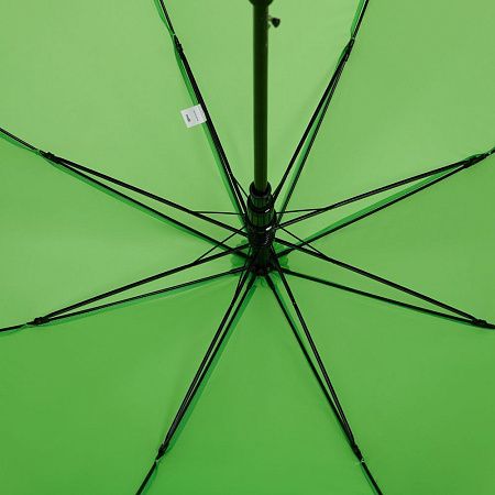 Зонт-трость Standard, зеленое яблоко