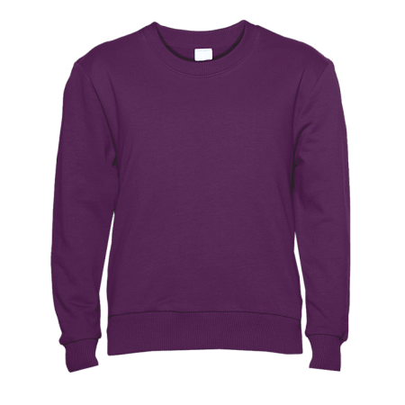 Свитшот детский STAN футер без начёса, 260, 63J, Сливовый,  (95)  (8 лет)
