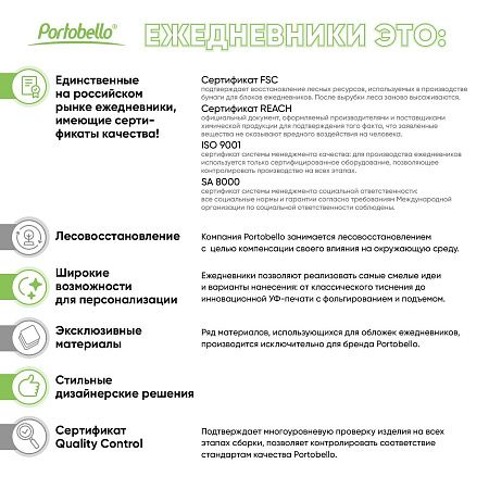 Ежедневник Стар (Star) недатированный, синий (с упаковкой, со стикерами)