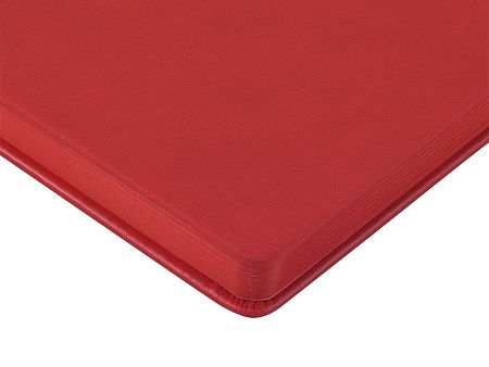 Ежедневник недатированный А6 «Megapolis Color»