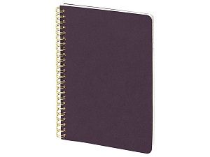 Бизнес тетрадь А5 «Pragmatic»