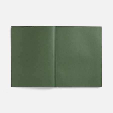 Ежедневник Flat Maxi, недатированный, зеленый, ver.2