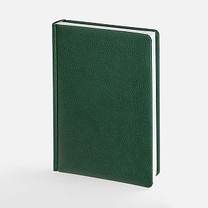 Ежедневник Sagrin, недатированный, зеленый