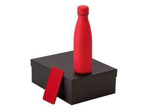 Подарочный набор «COLOR IT» с термобутылкой и повербанком