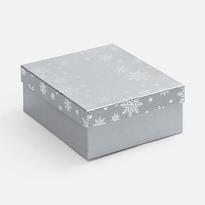 Коробка Wintry, серебристая