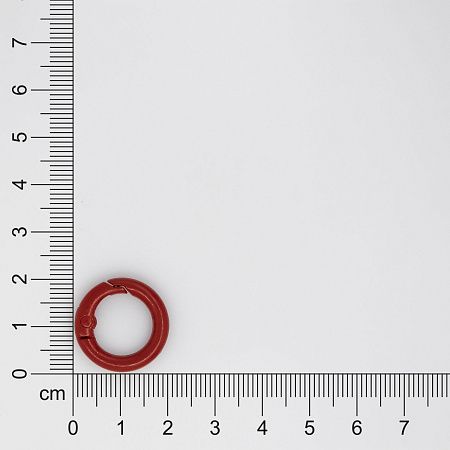 Карабин-кольцо Ring для обвеса, d=2см