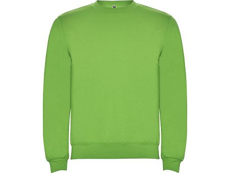 Свитшот с начесом «Clasica» унисекс