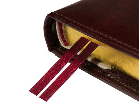 Ежедневник полудатированный А5 «Windsor»