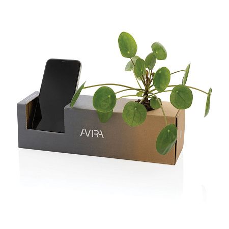 Бутылка для воды Avira Atik из rPET RCS, 500 мл