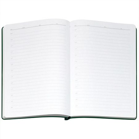 Ежедневник Flexpen Bright, недатированный, зеленый