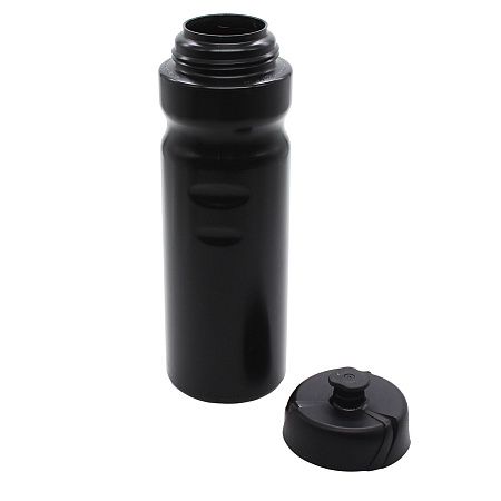 Бутылка для напитков Active Blue line, 750 мл