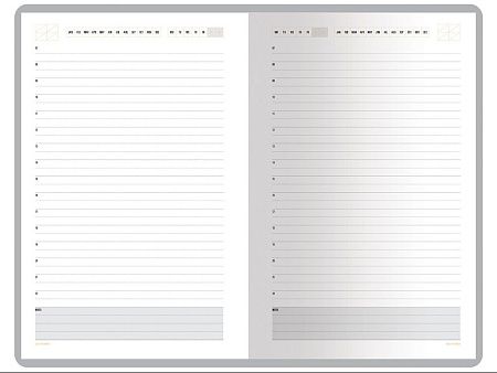 Ежедневник недатированный А5 «Mercury»