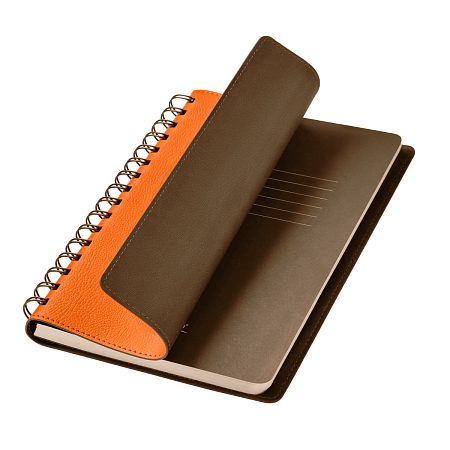 Ежедневник Виста (Vista) недатированный, оранжевый/коричневый