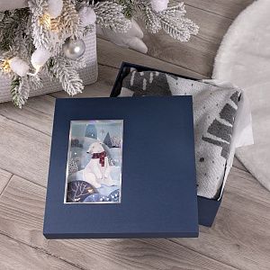 Коробка The Blue Bear, M