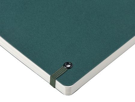 Ежедневник недатированный А5 «Pragmatic»