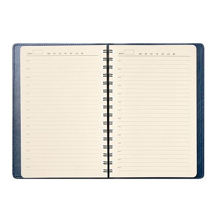 Ежедневник Vista Neo недатированный, синий