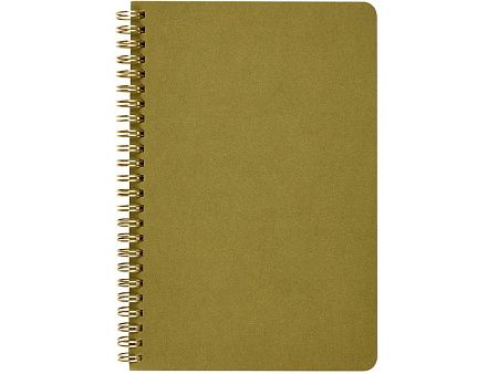 Бизнес тетрадь А5 «Pragmatic»