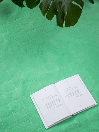 Плед для пикника Soft & Dry 2, светло-зеленый