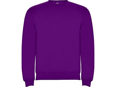 Свитшот с начесом «Clasica» унисекс