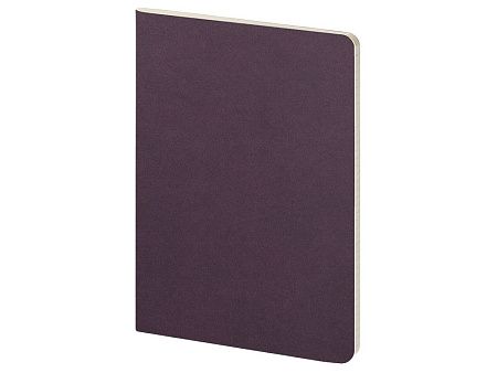 Бизнес тетрадь А5 «Pragmatic»