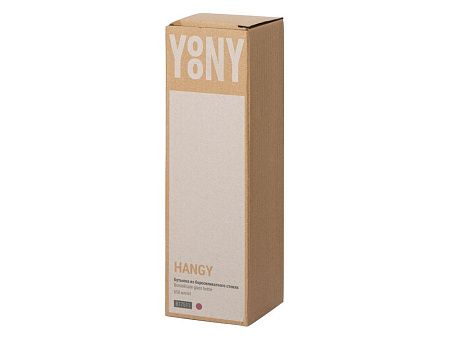 Бутылка из боросиликатного стекла «Hangy», 550 мл
